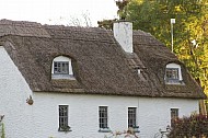 Irish Thatch Roof