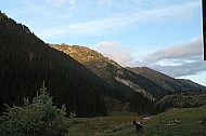 mountain range at Altyn Arashan
