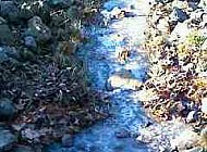 Frozen Stream