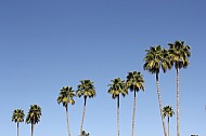 landscapes