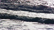 The Tide at Santa Monica Beach
