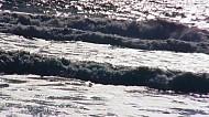 The Tide at Santa Monica Beach