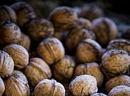 Walnuts