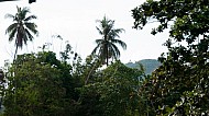 Loboc Philippines