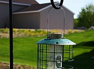 bird feeder