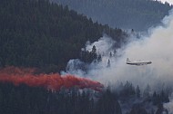 Forest Fire Fighting