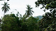 Loboc Philippines